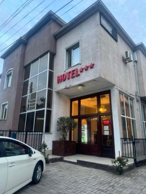 Hotel Skib